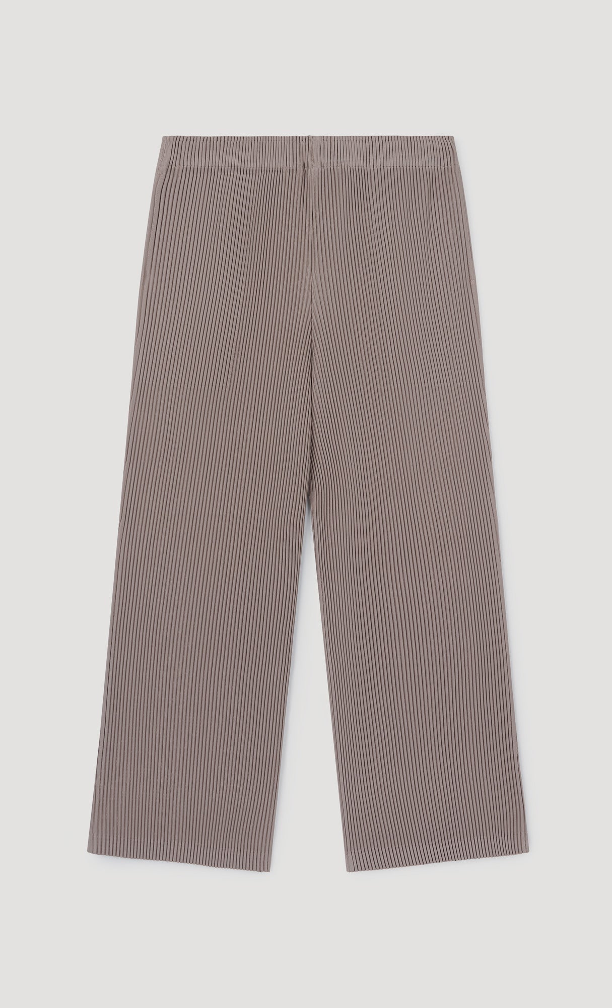 Essential Relaxed Pleated Pants_Beige