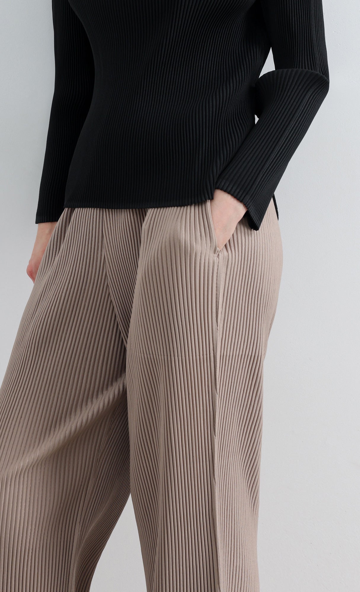 Essential Relaxed Pleated Pants_Beige